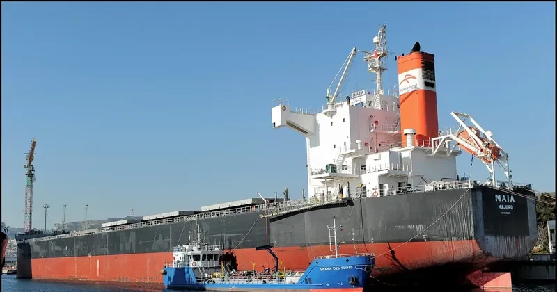 MAIA Bulk Carrier IMO 9422938 photo 5