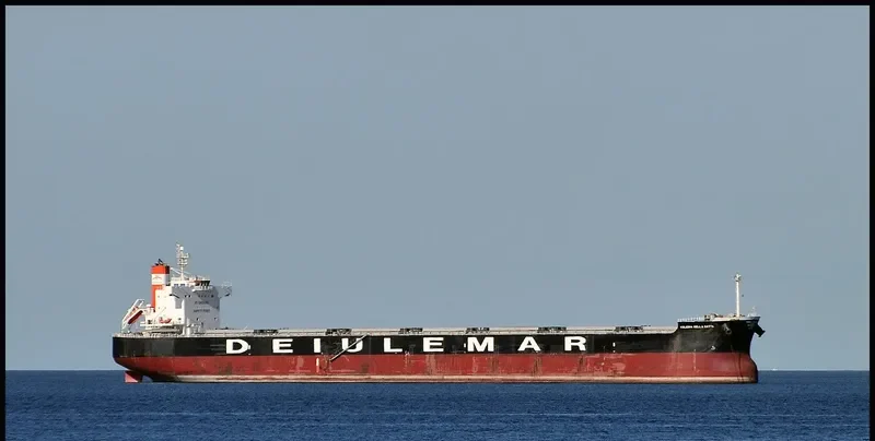 MAIA Bulk Carrier IMO 9422938 photo 7