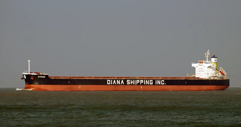 MYRSINI Bulk Carrier IMO 9422940