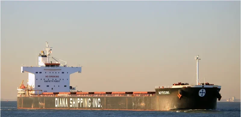 MYRSINI Bulk Carrier IMO 9422940 photo 2