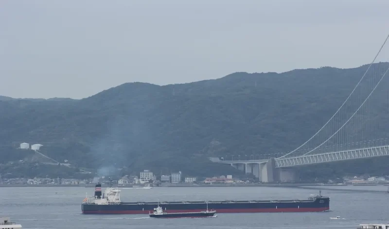 SHIN KOHO Bulk Carrier IMO 9423358 photo 7