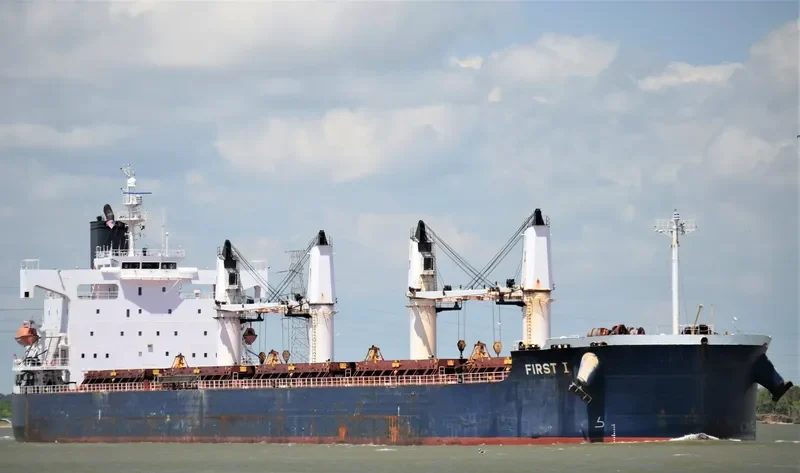 NAVIOS AMARYLLIS Bulk Carrier IMO 9423487