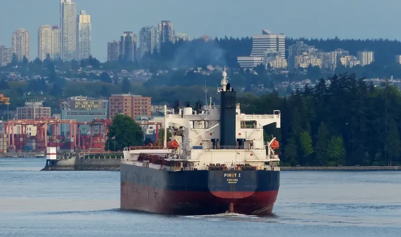 NAVIOS AMARYLLIS Bulk Carrier IMO 9423487 photo 2