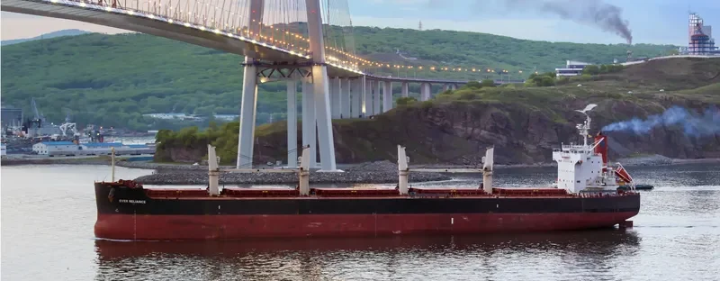EVER RELIANCE Bulk Carrier IMO 9423578