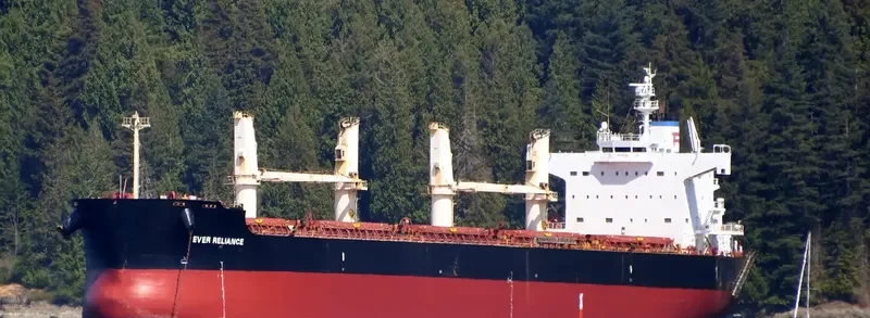 EVER RELIANCE Bulk Carrier IMO 9423578 photo 8