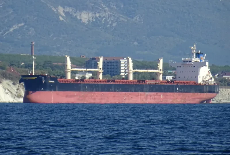BERNINA Bulk Carrier IMO 9423580 photo 2