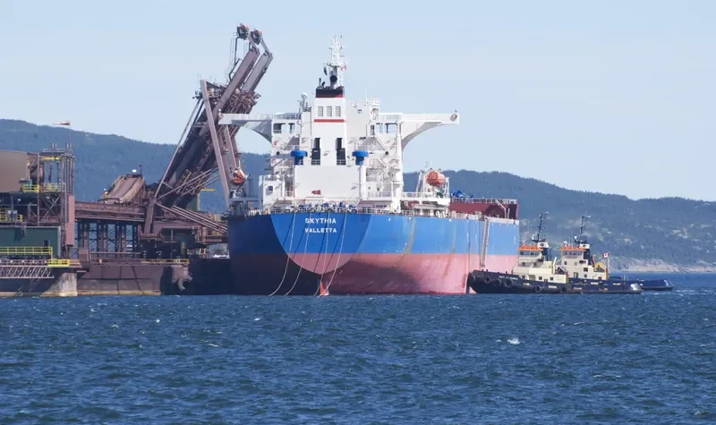 SKYTHIA Bulk Carrier IMO 9423920 photo 4