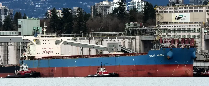 GREAT EXPLORER Bulk Carrier IMO 9423944 photo 4
