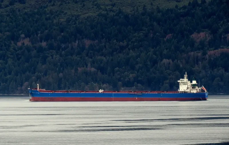 OCEAN EMPEROR Bulk Carrier IMO 9423956 photo 4