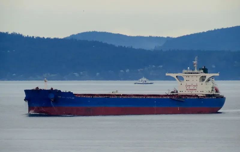 OCEAN EMPEROR Bulk Carrier IMO 9423956 photo 7