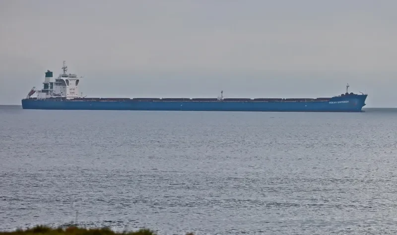 OCEAN EMPEROR Bulk Carrier IMO 9423956 photo 10