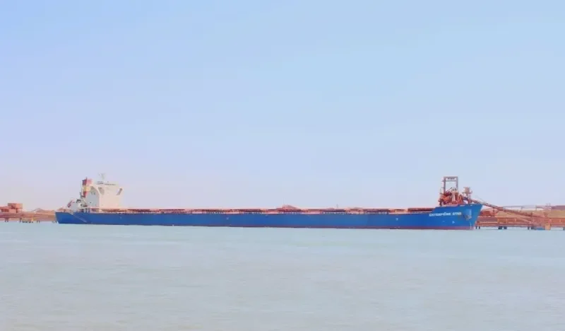 ENTERPRISE STAR Bulk Carrier IMO 9423968 photo 2