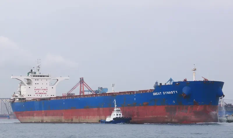 GEORGINA HOPE Bulk Carrier IMO 9423970 photo 2