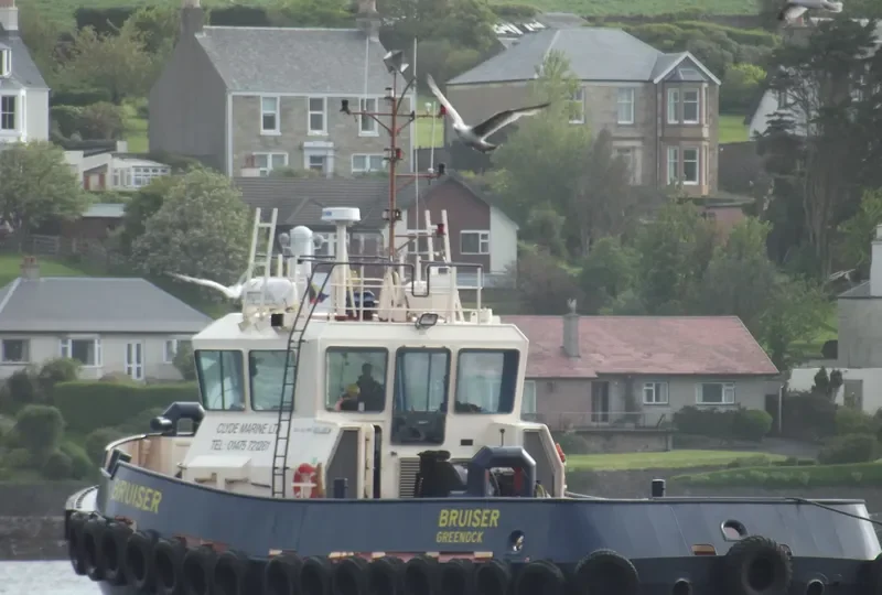 BRUISER General Cargo IMO 9424003 photo 8