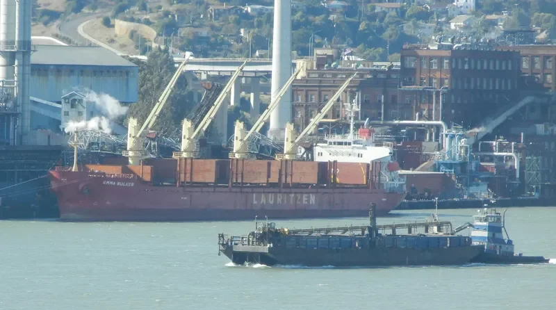 NIMBLE NICKY Bulk Carrier IMO 9424091