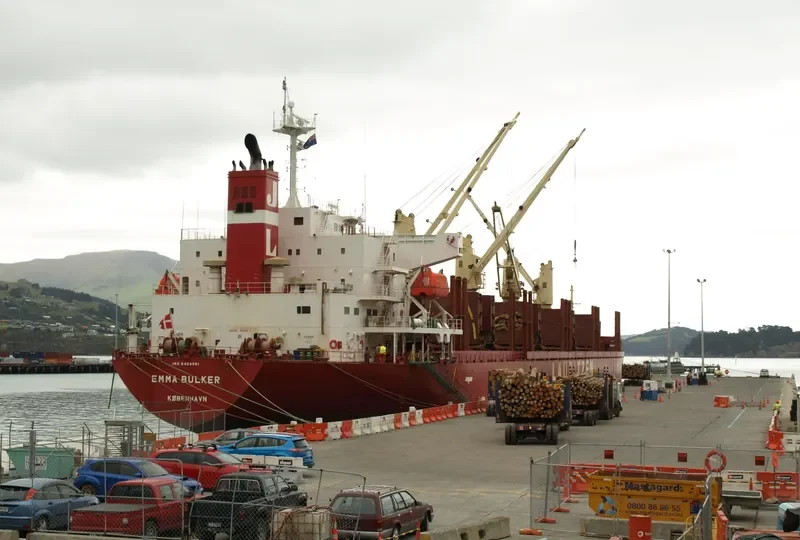 NIMBLE NICKY Bulk Carrier IMO 9424091 photo 5