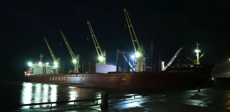 NOVI Bulk Carrier IMO 9424120 photo 2
