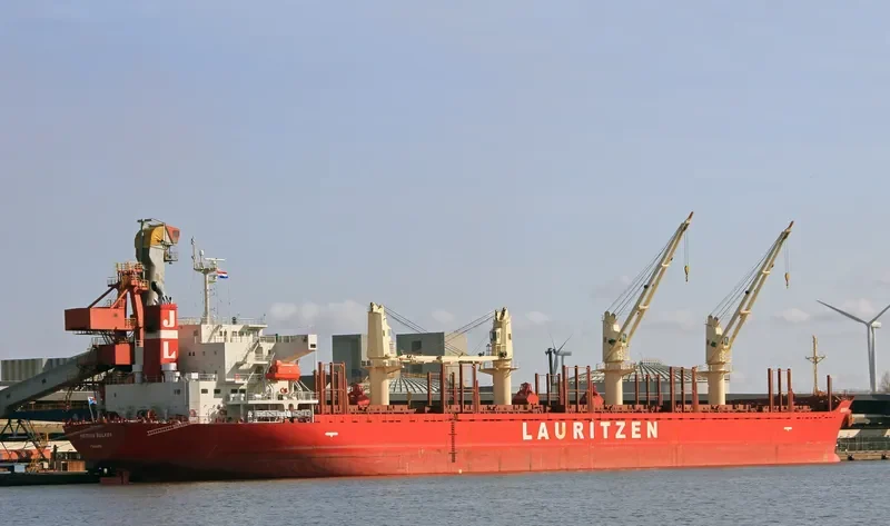 NOVI Bulk Carrier IMO 9424120 photo 8