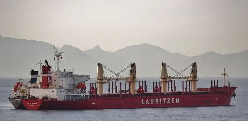 TEAM FOCUS Bulk Carrier IMO 9424132 photo 2