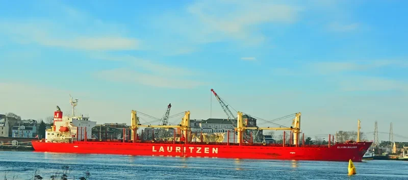 TEAM FOCUS Bulk Carrier IMO 9424132 photo 3