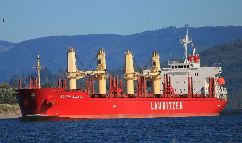 TEAM FOCUS Bulk Carrier IMO 9424132 photo 8
