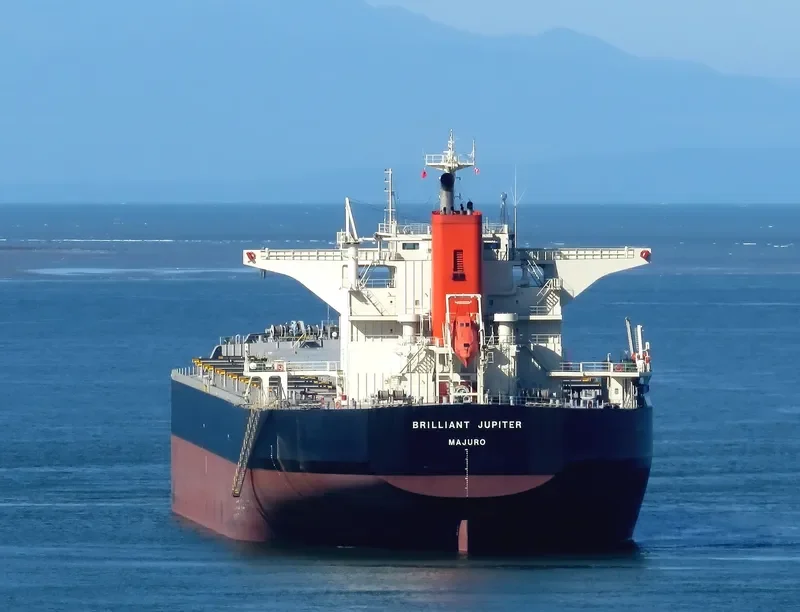 BRILLIANT JUPITER Bulk Carrier IMO 9424247 photo 2