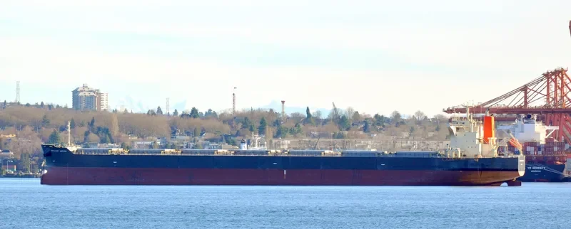 BRILLIANT JUPITER Bulk Carrier IMO 9424247 photo 5