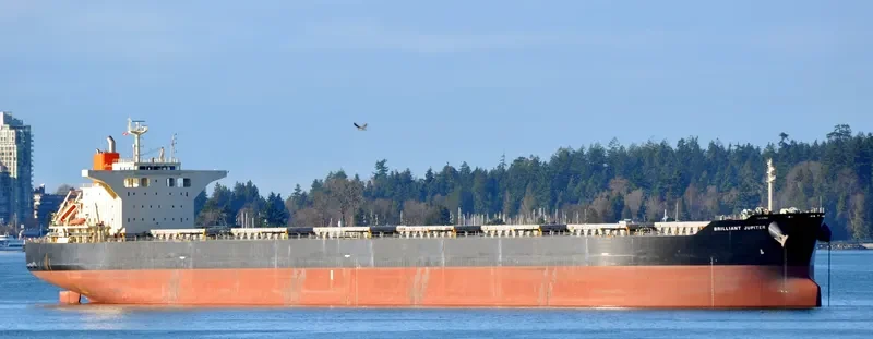 BRILLIANT JUPITER Bulk Carrier IMO 9424247 photo 6