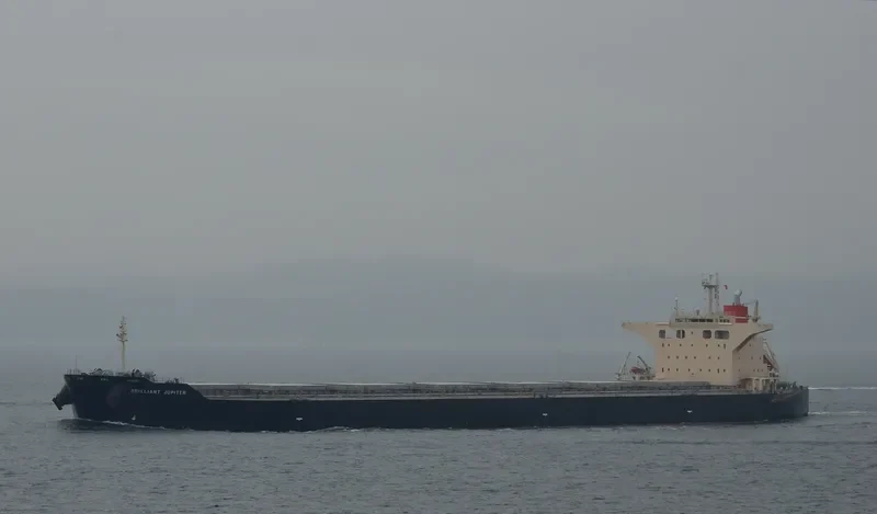 BRILLIANT JUPITER Bulk Carrier IMO 9424247 photo 8