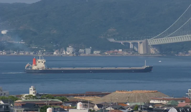 BRILLIANT JUPITER Bulk Carrier IMO 9424247 photo 10