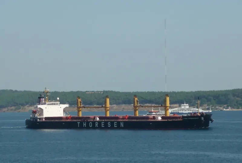 THOR FRIENDSHIP Bulk Carrier IMO 9424601 photo 9