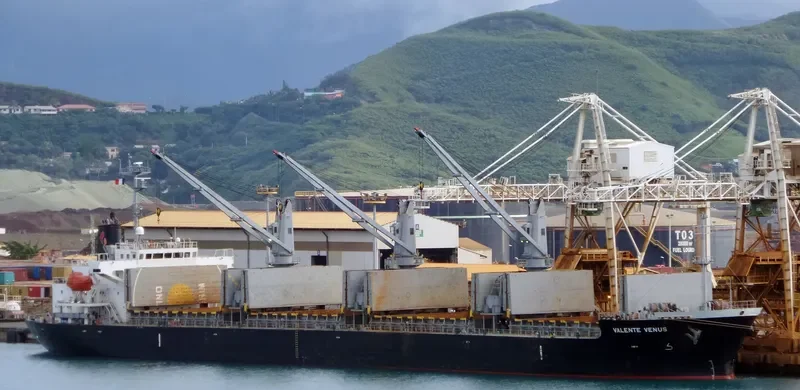 VALENTE VENUS Bulk Carrier IMO 9424637 photo 2