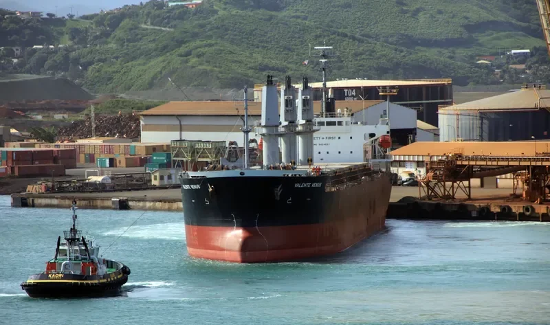 VALENTE VENUS Bulk Carrier IMO 9424637 photo 9