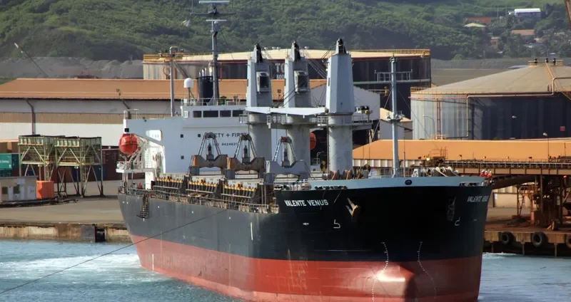 VALENTE VENUS Bulk Carrier IMO 9424637 photo 10