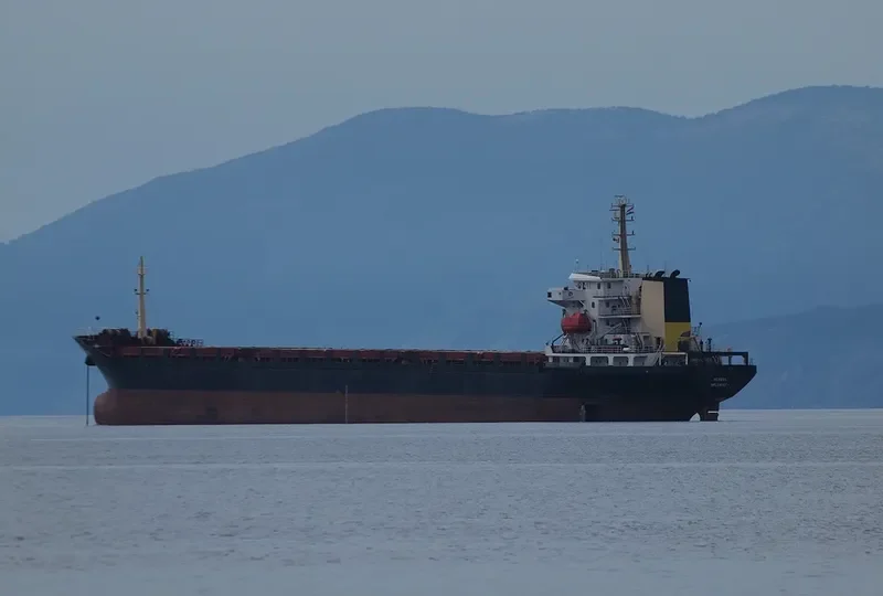 SELECTA General Cargo IMO 9424807 photo 3