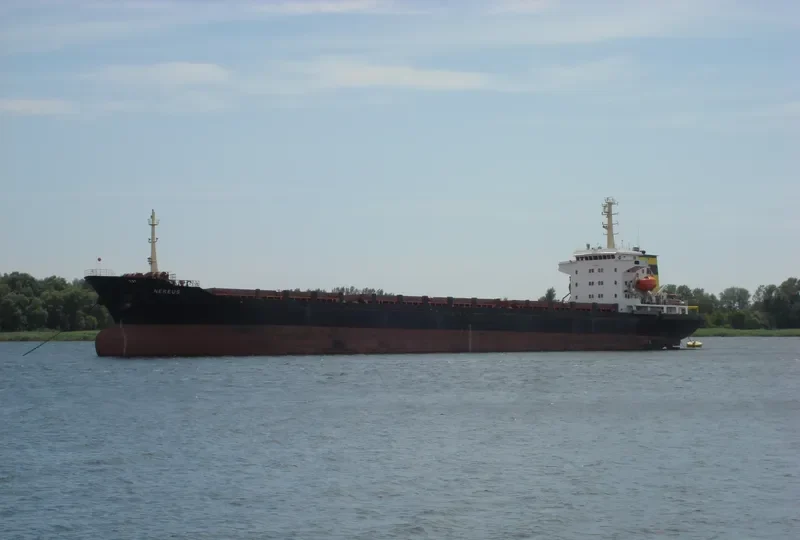SELECTA General Cargo IMO 9424807 photo 6
