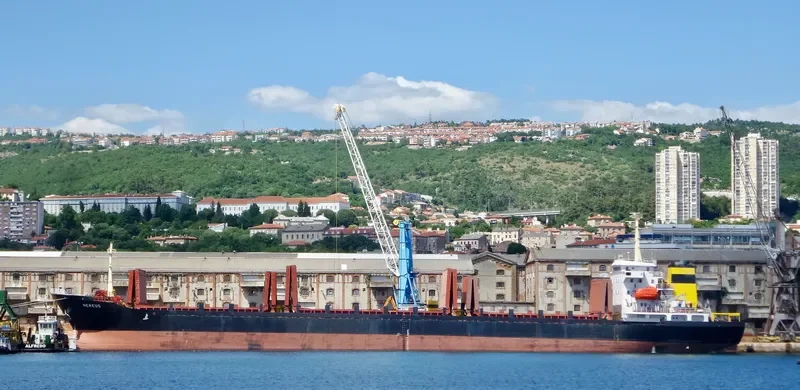SELECTA General Cargo IMO 9424807 photo 8