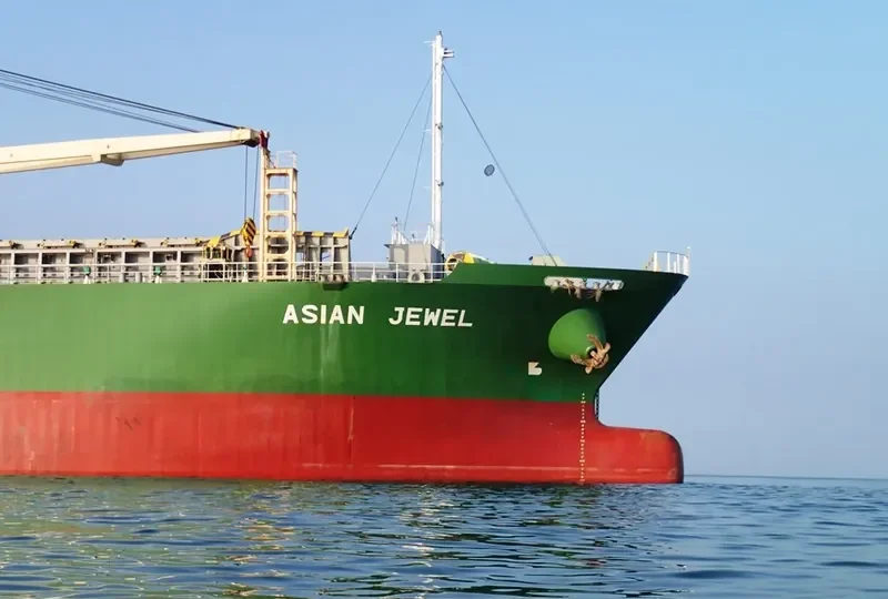 ASIAN JEWEL General Cargo IMO 9424821 photo 5