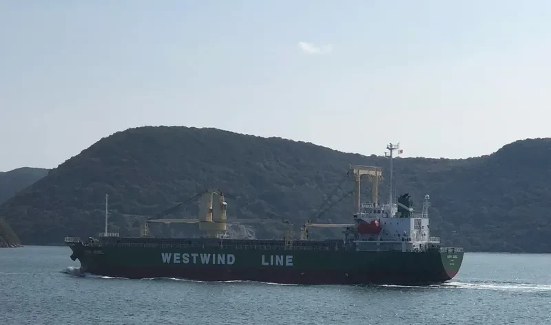 ASIAN JEWEL General Cargo IMO 9424821 photo 8