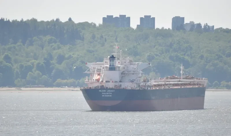 IOLCOS LEGACY Bulk Carrier IMO 9425136 photo 8