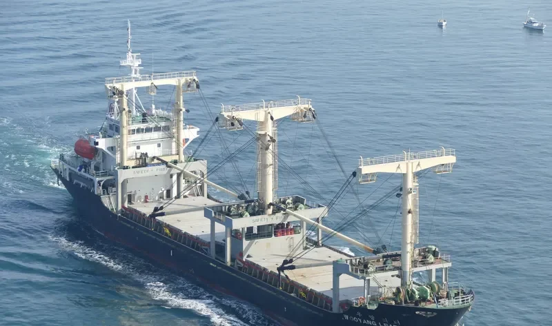 WOOYANG LEADER General Cargo IMO 9425306