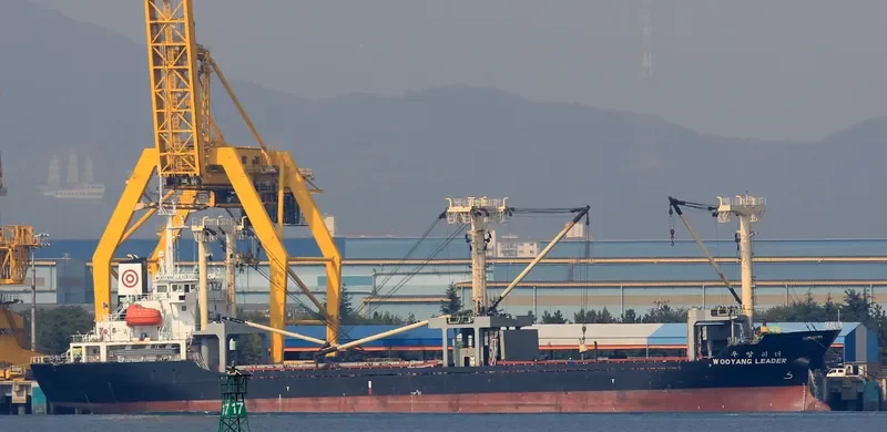 WOOYANG LEADER General Cargo IMO 9425306 photo 2