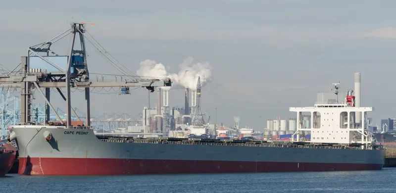 CAPE PEONY Bulk Carrier IMO 9425447