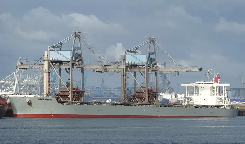 CAPE PEONY Bulk Carrier IMO 9425447 photo 2