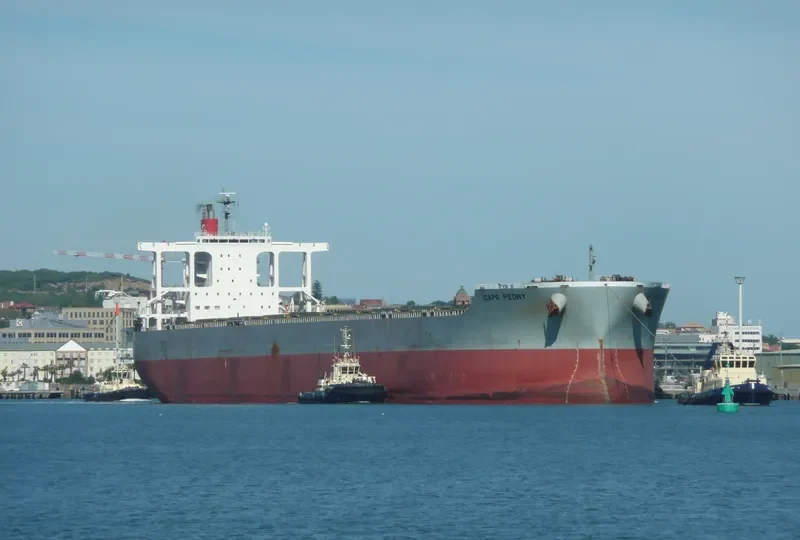 CAPE PEONY Bulk Carrier IMO 9425447 photo 9