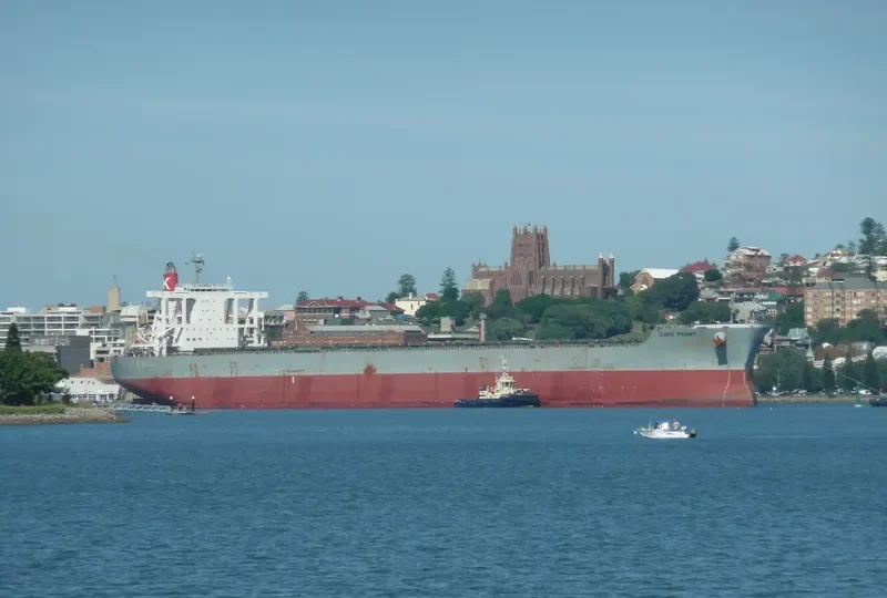 CAPE PEONY Bulk Carrier IMO 9425447 photo 10