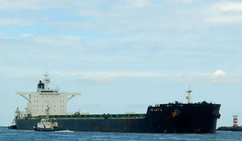 NEA IONIA Bulk Carrier IMO 9425461 photo 4