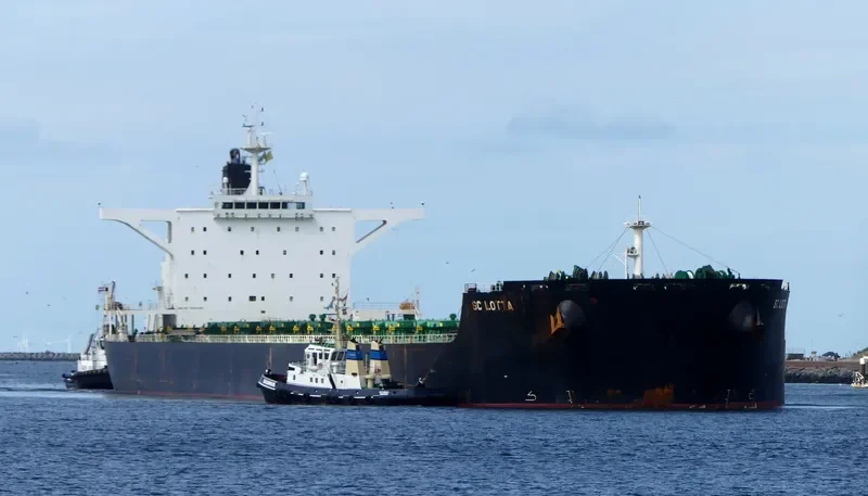 NEA IONIA Bulk Carrier IMO 9425461 photo 8