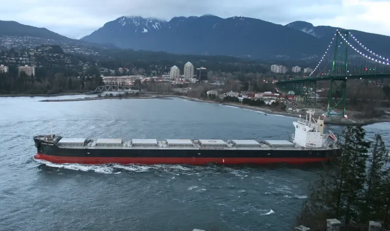 ATLANTIC LEGEND Bulk Carrier IMO 9425667 photo 10
