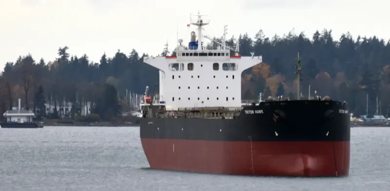TRITON HAWK Bulk Carrier IMO 9425679 photo 3